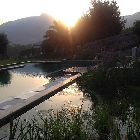 Maison d'hôtes Tenuta Margherita à Salò Extérieur photo